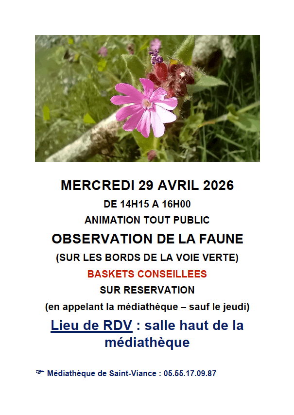 observation de la faune